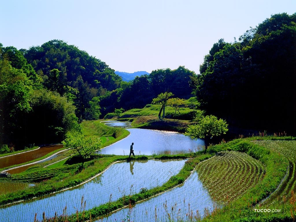 huwainongcunfengjing_464684_2.jpg