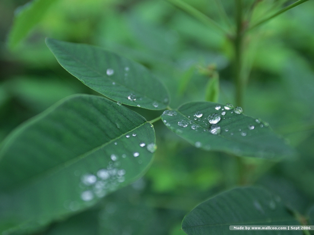 0summer_AP27015.jpg