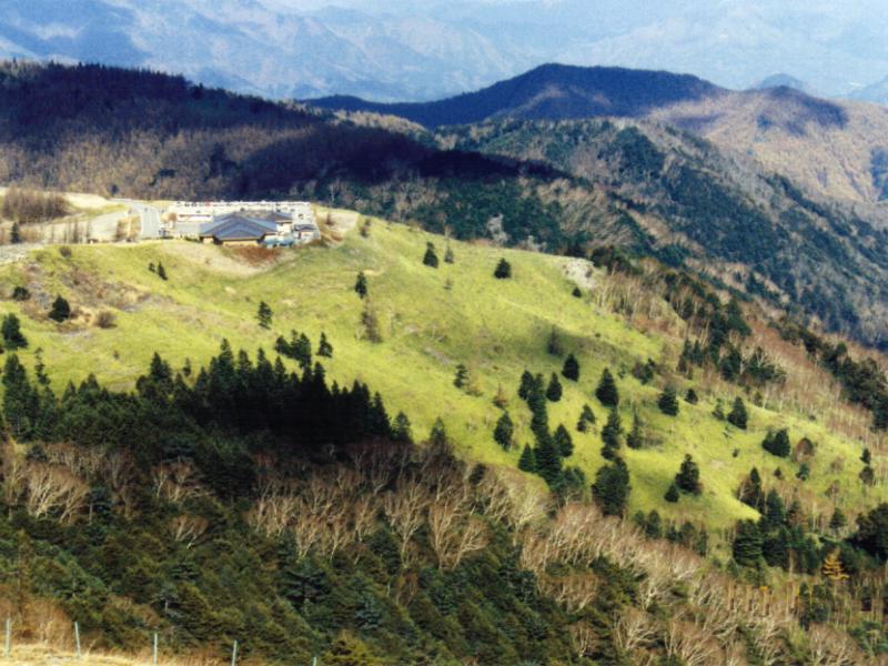 B6.jpg