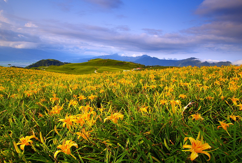 風景 (194).jpg