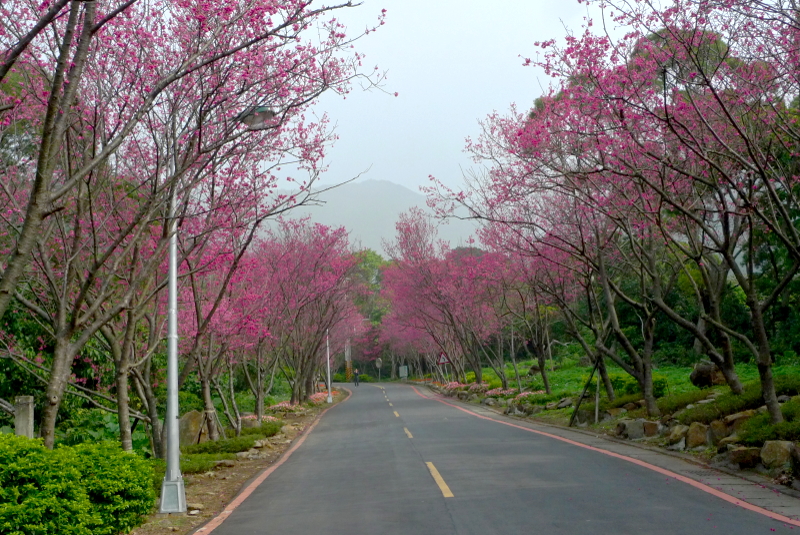 風景 (34).jpg