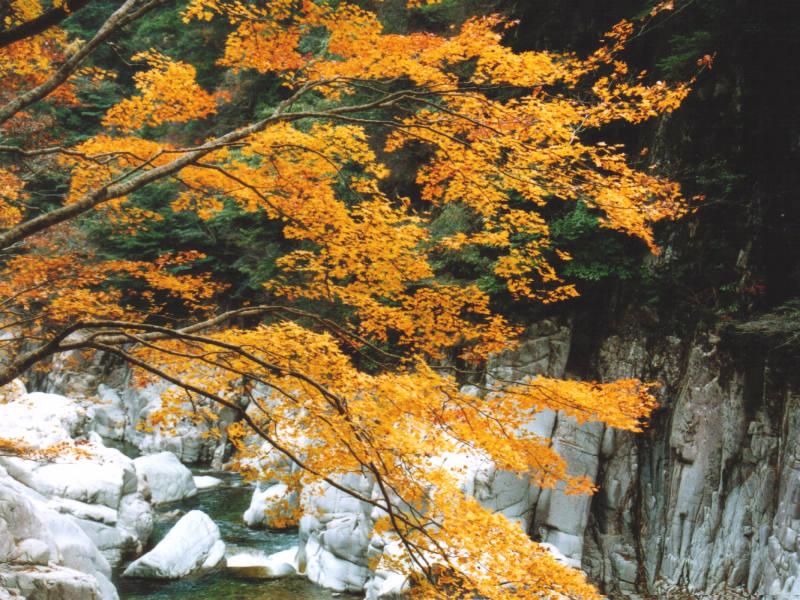 風景 (9).jpg