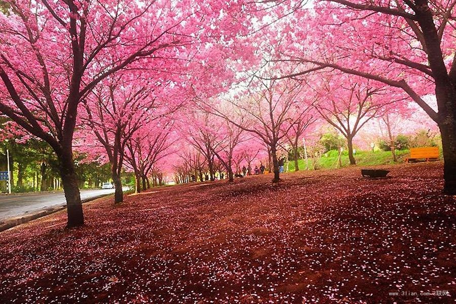 風景 (18).jpg