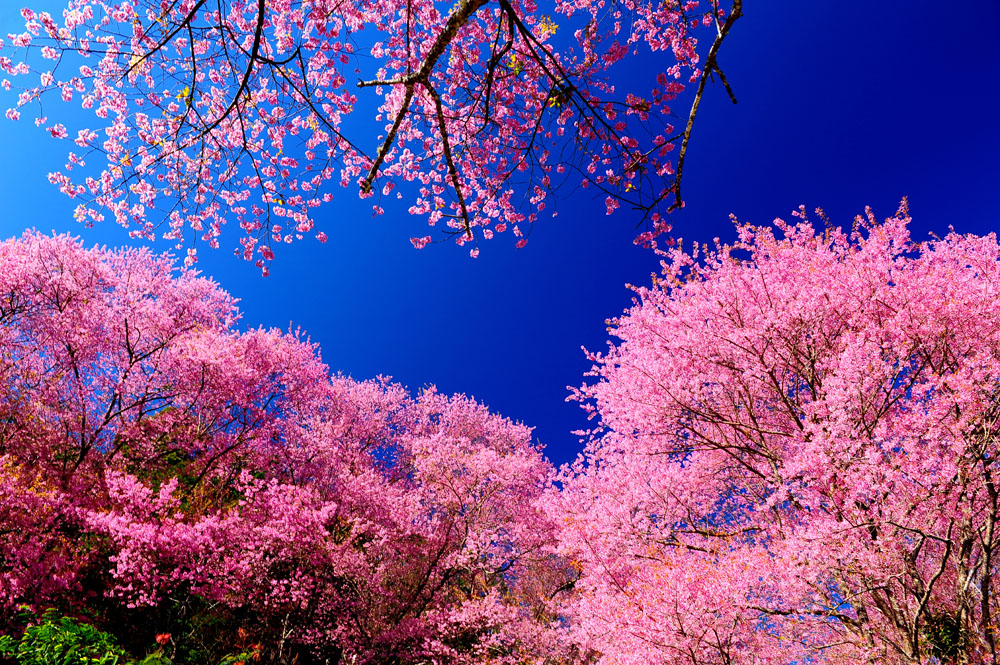 風景 (57).jpg