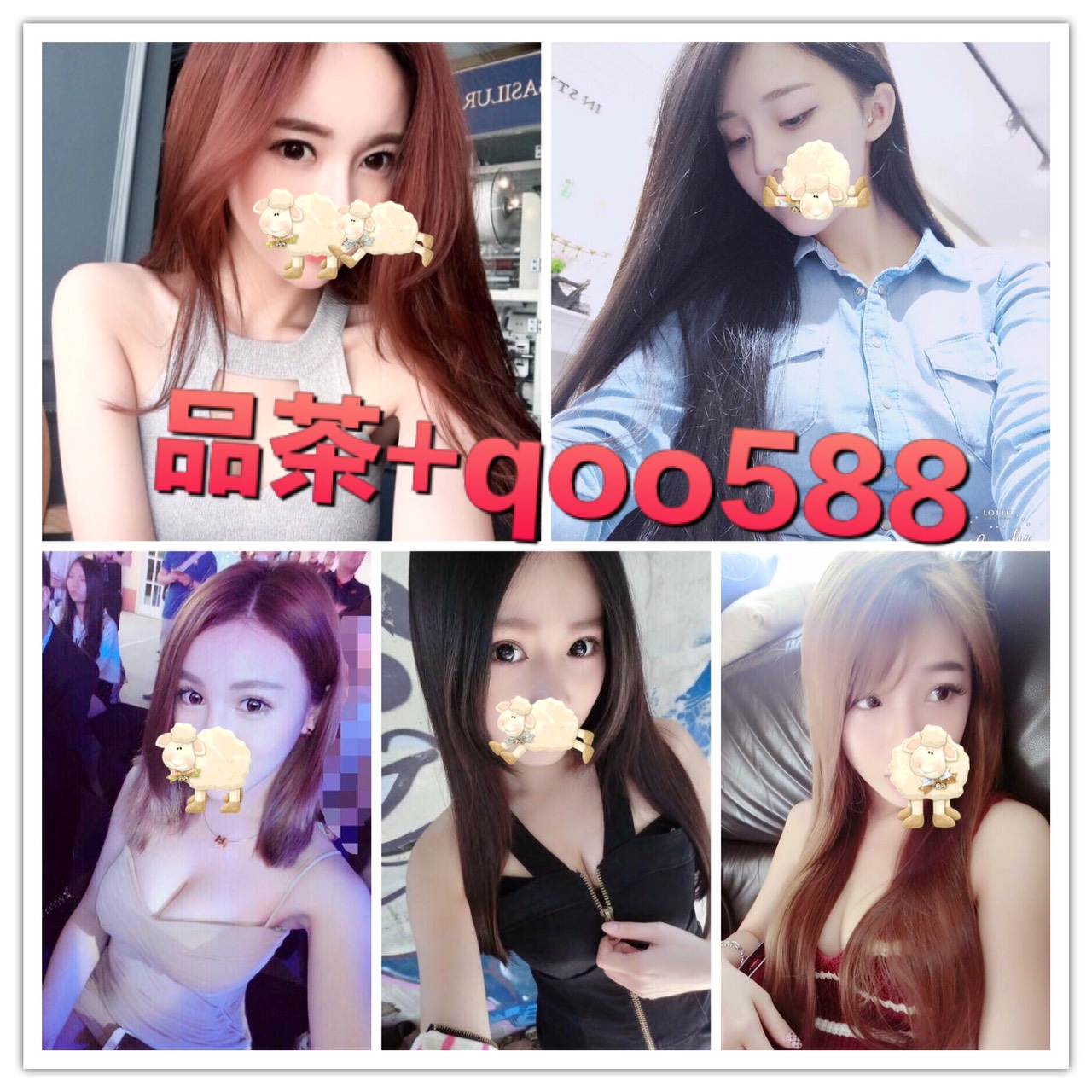 S_4770478968485.jpg