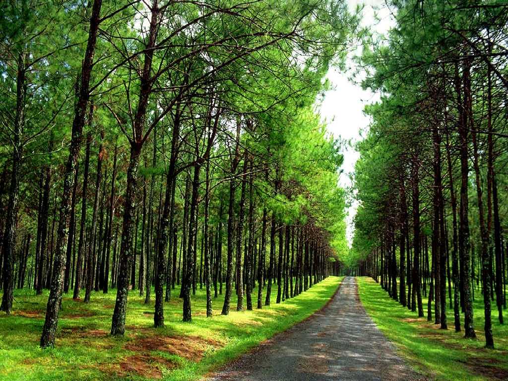 風景1 (128).jpg