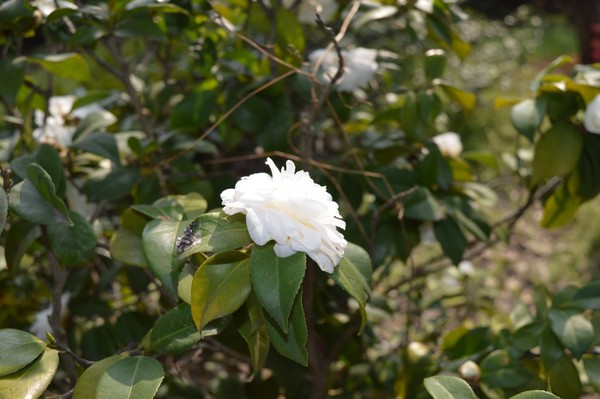 好看風景 (3).jpeg