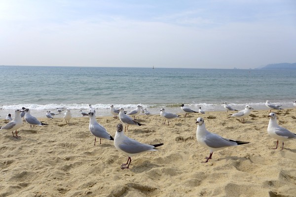 好看風景 (5).jpeg