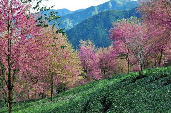 好看風景 (6).jpg