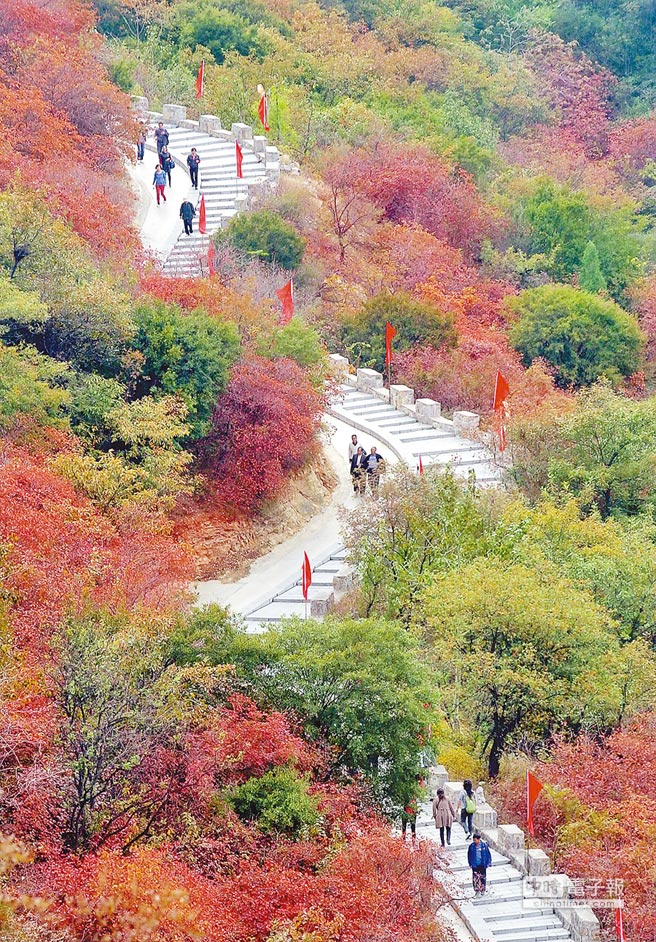 好看風景 (19).jpg