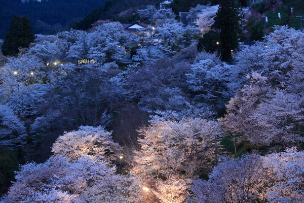 好看風景 (214).jpg