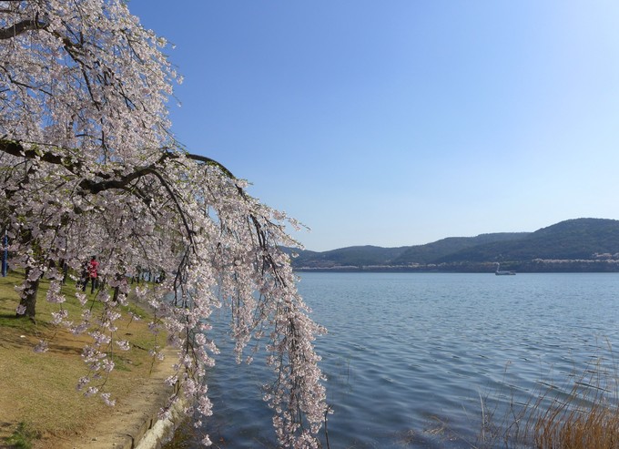 好看風景 (4).jpeg