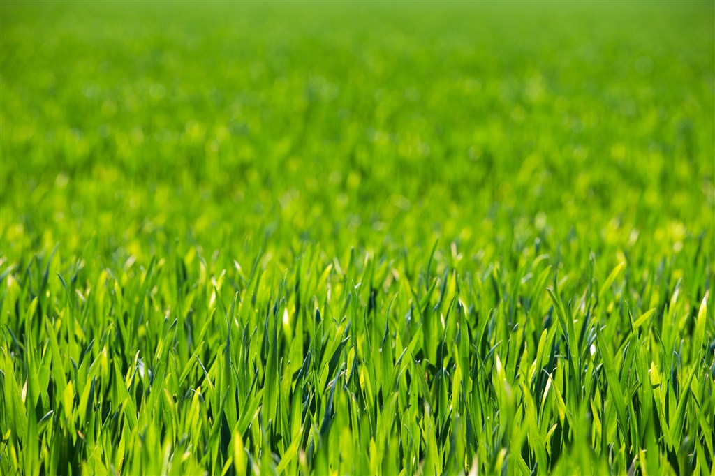 風景圖- (283).jpg