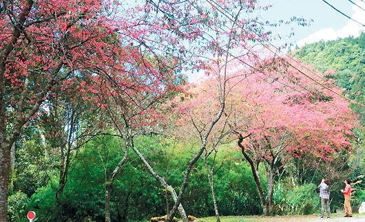 風景圖- (273).jpg