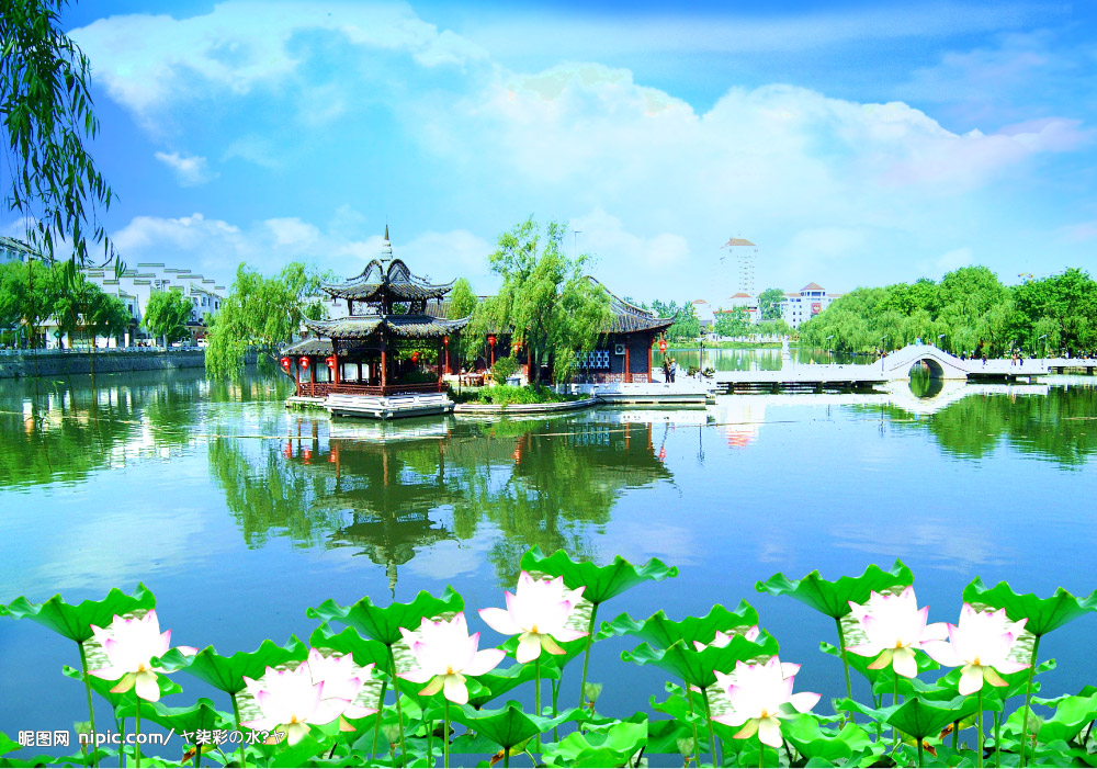 風景圖- (241).jpg