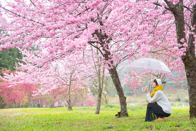 風景圖- (82).jpg