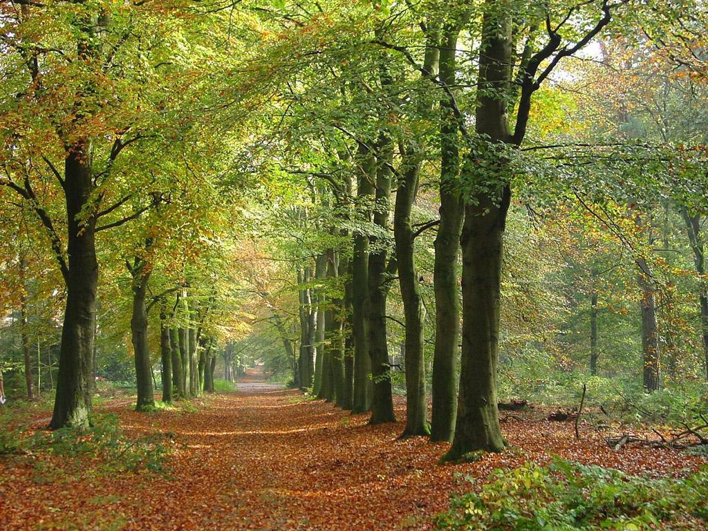 風景美圖 (180).jpg