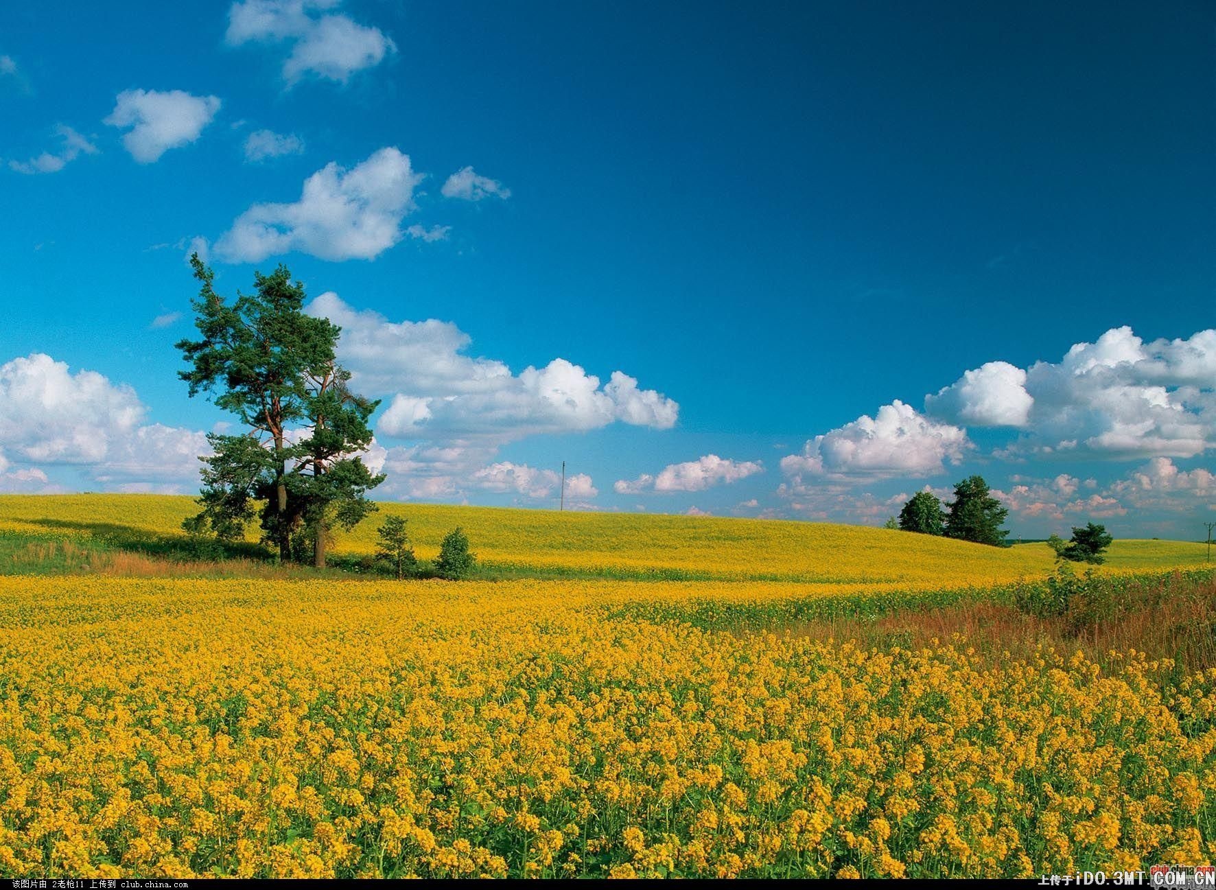 風景美圖 (58).jpg