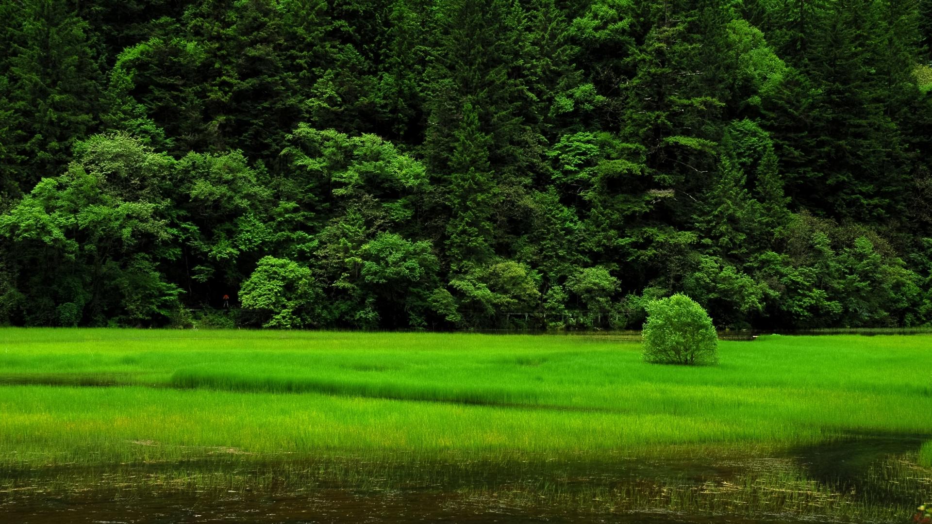 風景美圖 (18).jpg