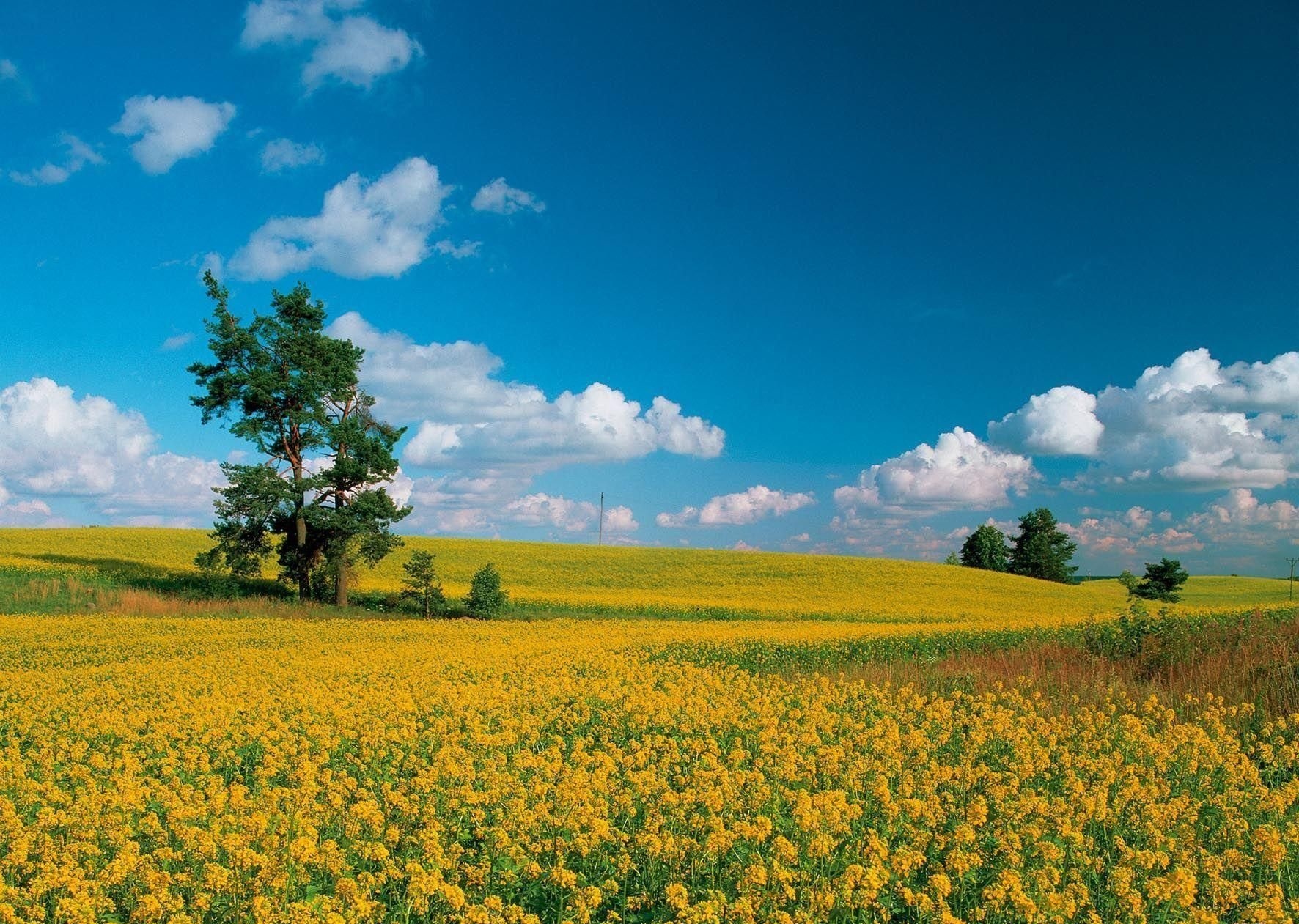 風景美圖 (58).jpg