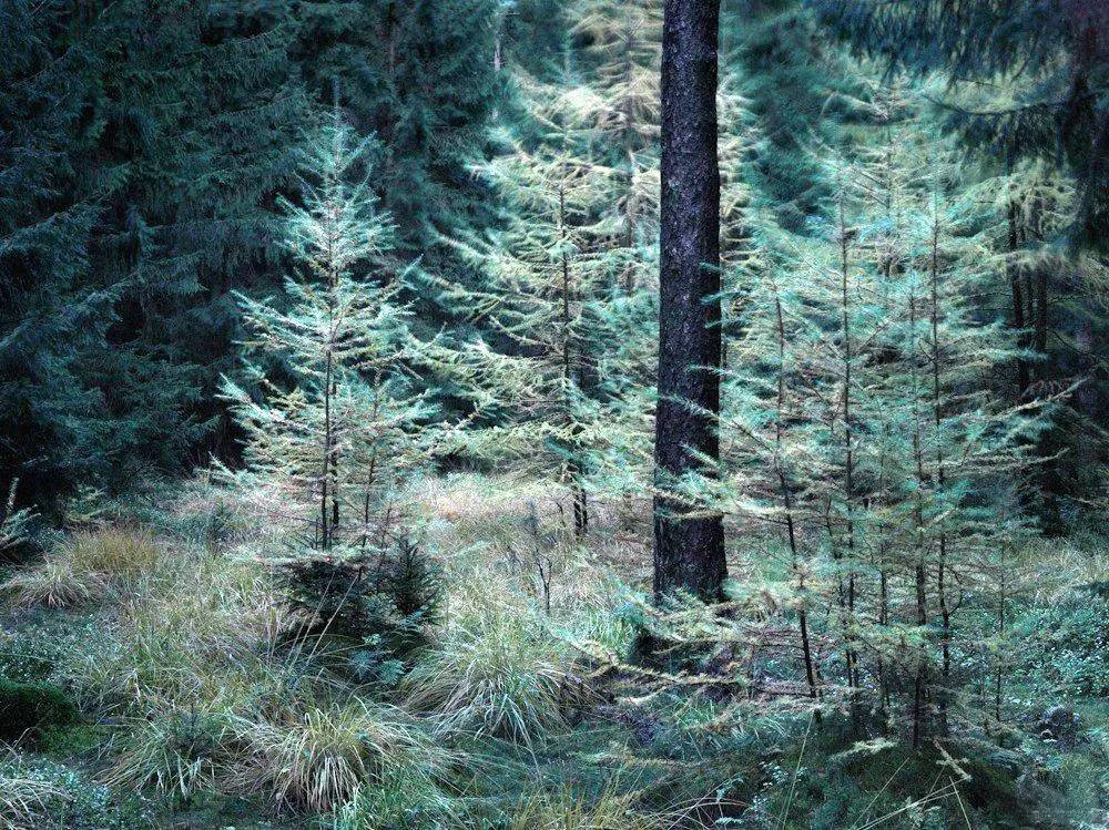 風景美圖 (76).jpg