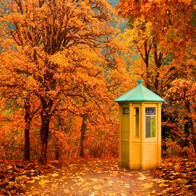 風景圖  (188).jpg