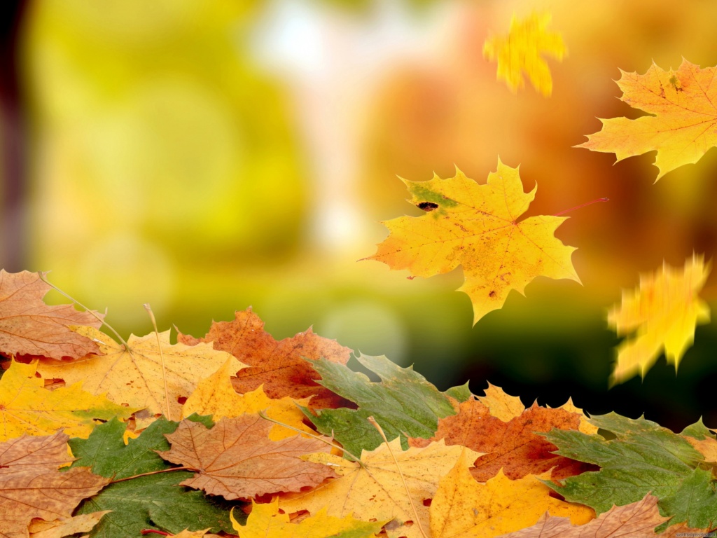 風景圖   (132).jpg