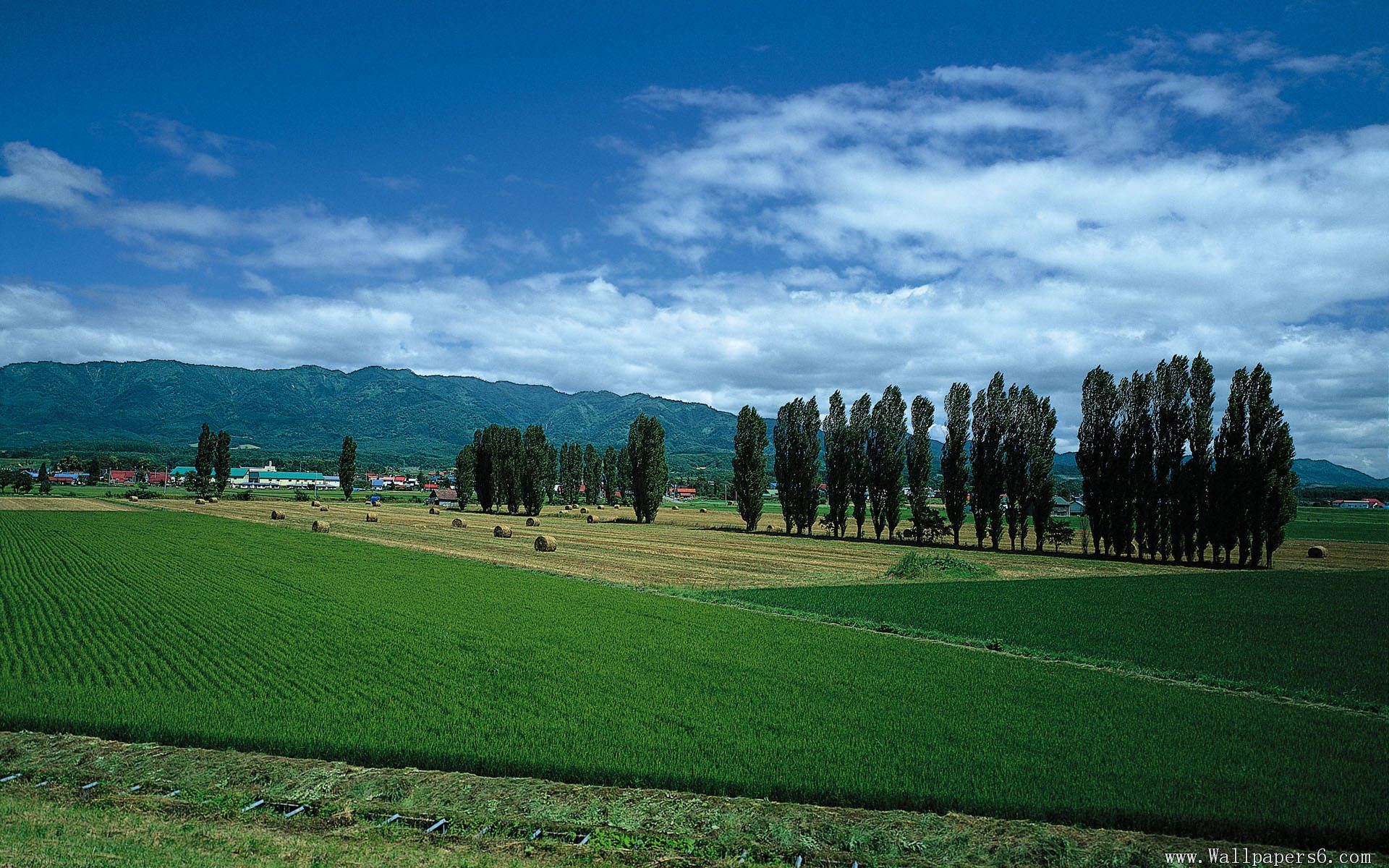 風景圖  (118).jpg