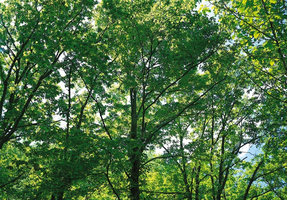 風景圖 (149).jpg