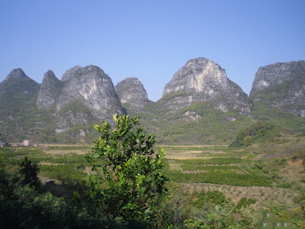 風景圖 (37).jpg