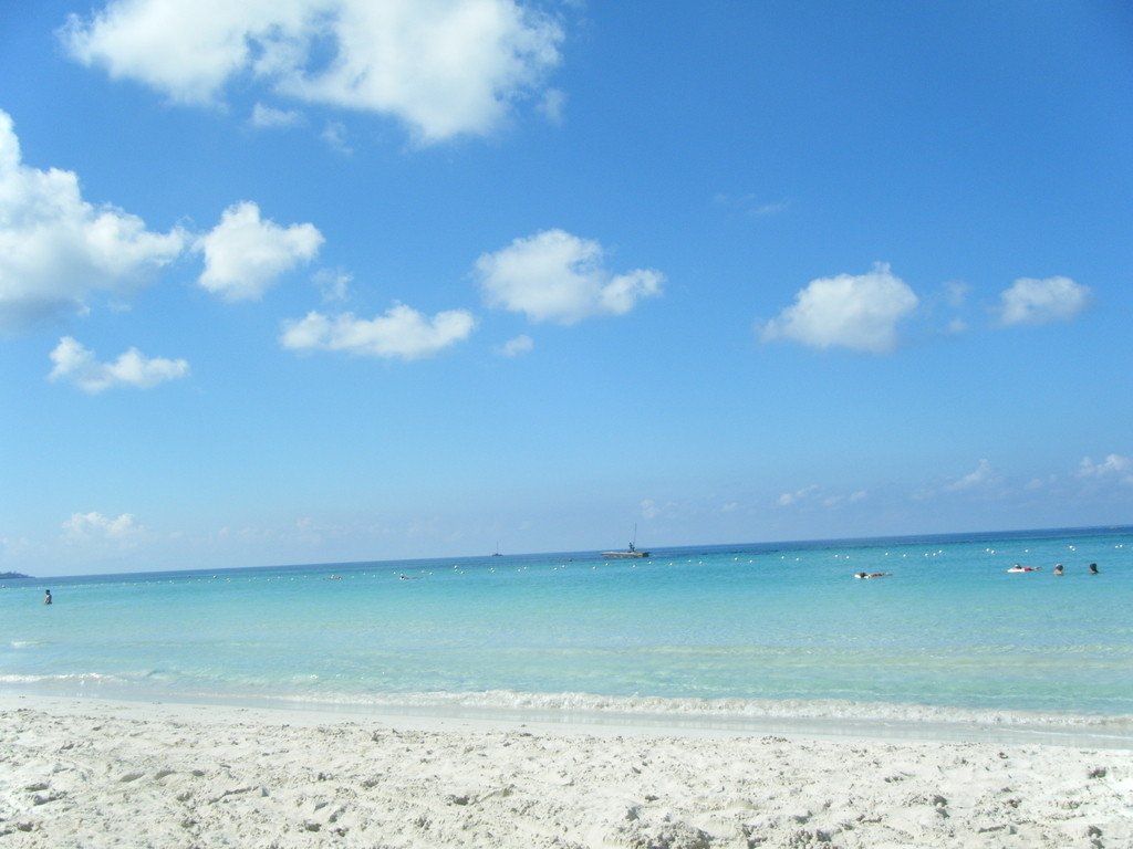 風景圖 (53).jpg