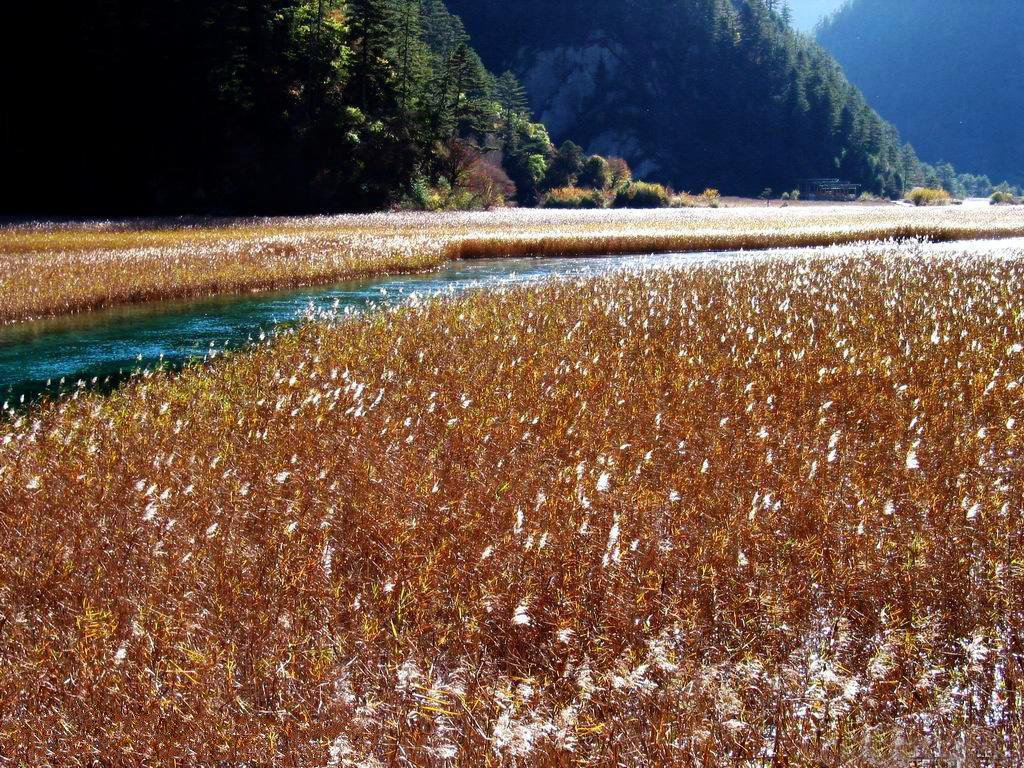 風景 (186).jpg