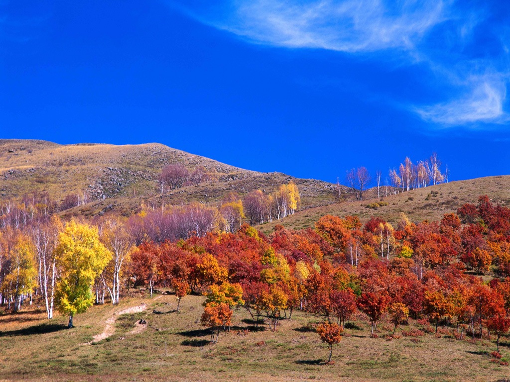 風景圖 (124).jpg