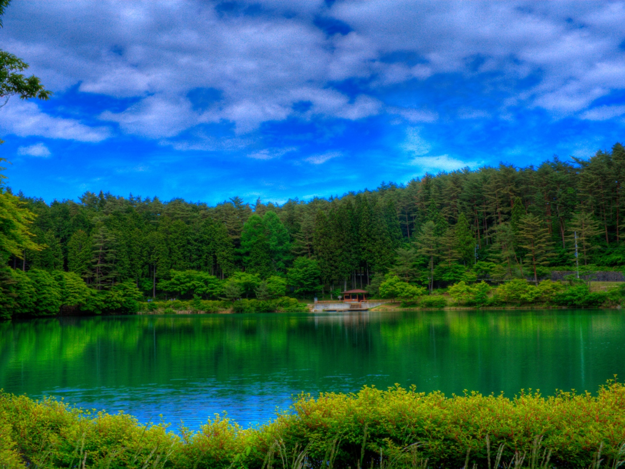 風景圖 (229).jpg