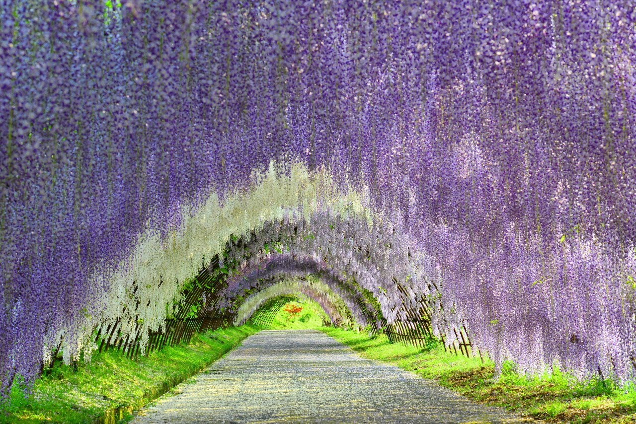 風景圖 (231).jpg