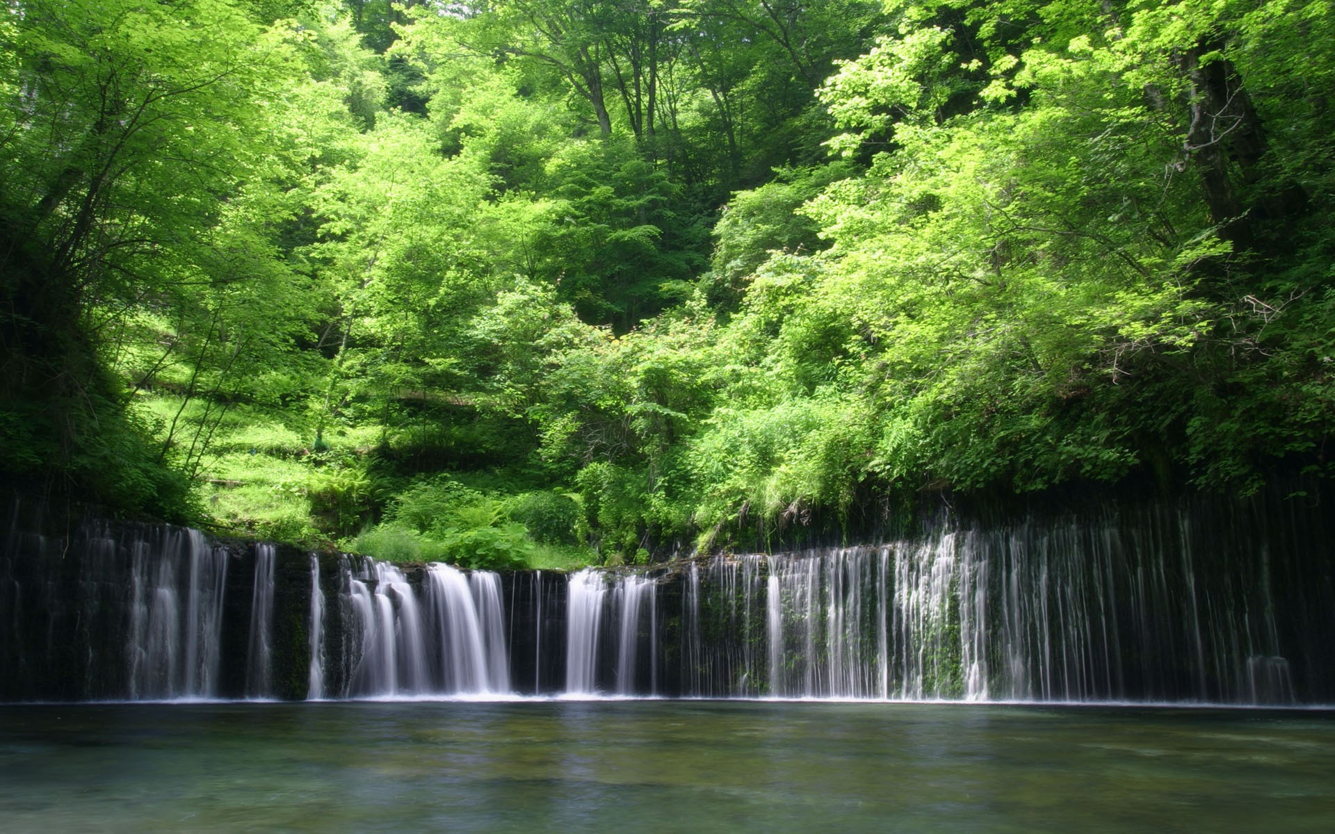 風景圖 (272).jpg