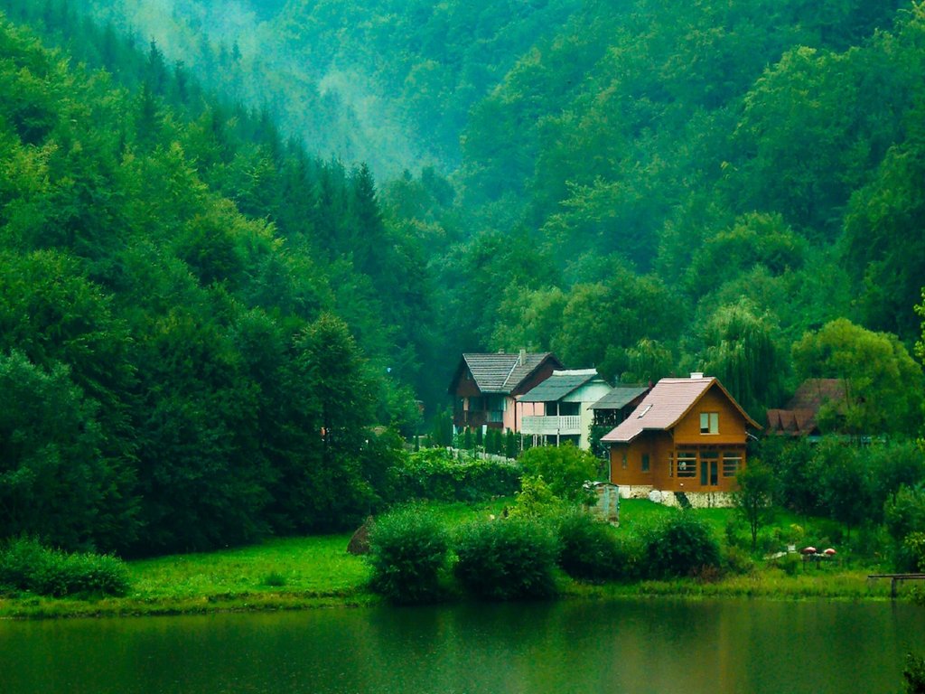 風景 (208).jpg