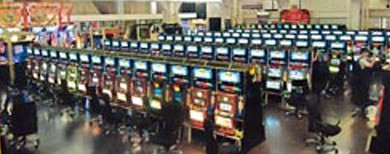 30599_20110702170719119sN.jpg
