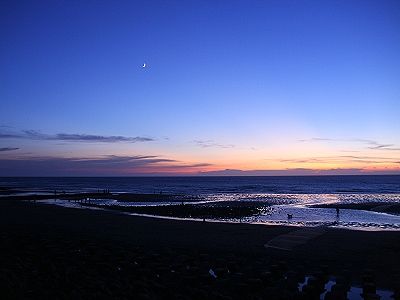timg (2).jpg