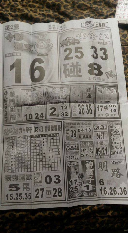 337226587072372.jpg
