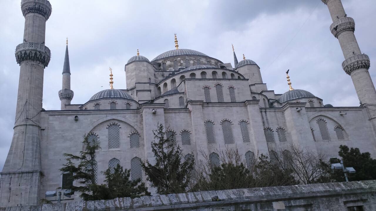 IMG_3645.JPG