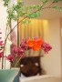 30503_pic_20080324110722_4s.jpg