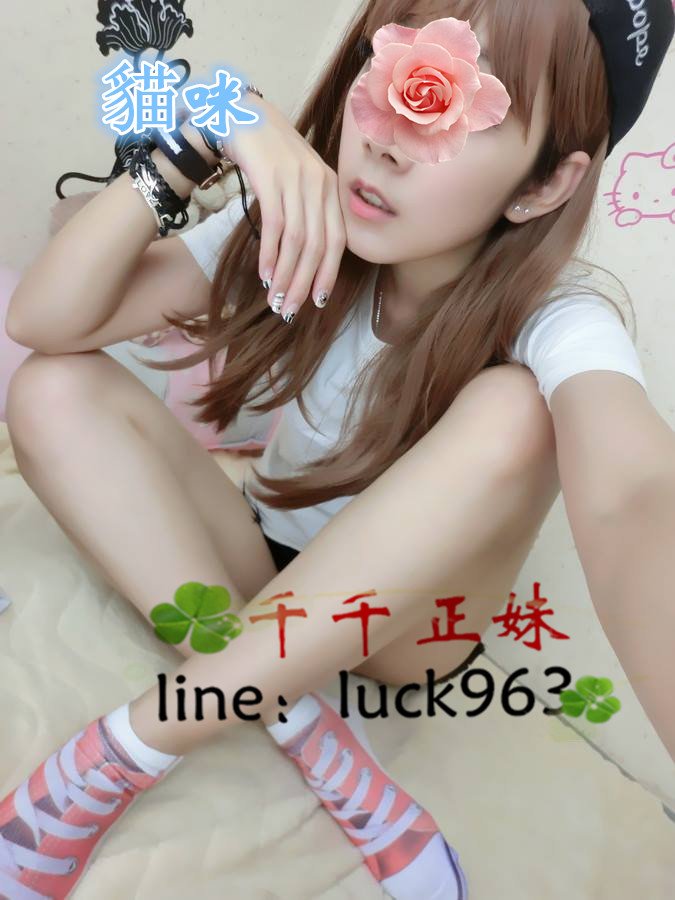 貓咪.jpg