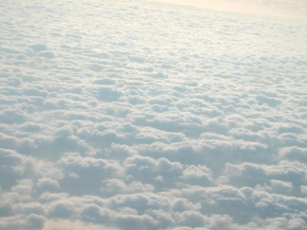 109782076532_n.jpg
