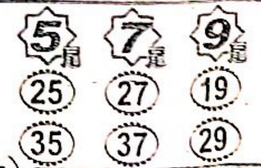 1499323208578395.jpg