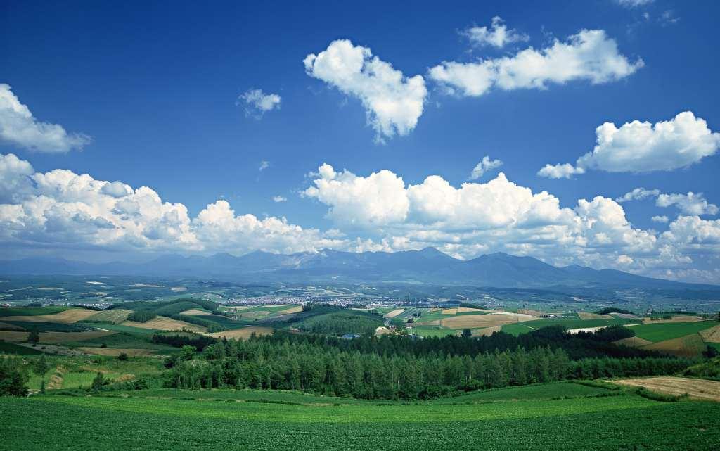 sy_65360461649.jpg