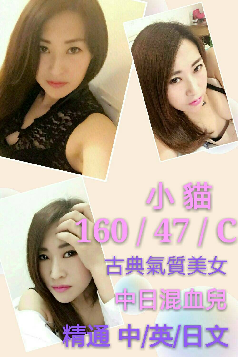 小貓-160-47-C- (中-英-日語).jpg