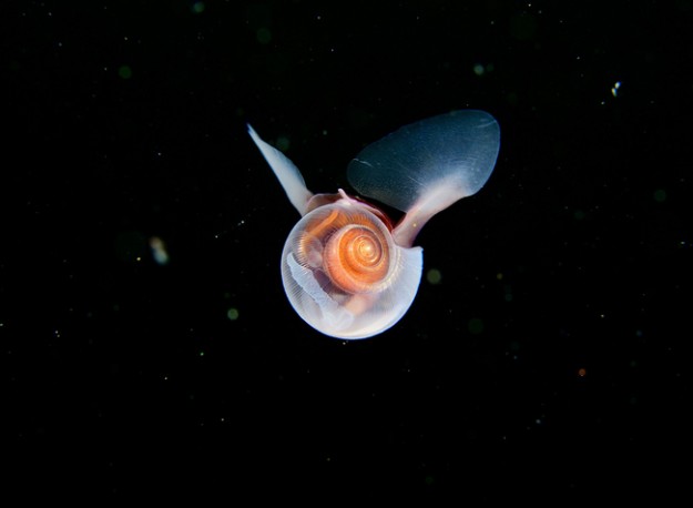 1 (971).jpg