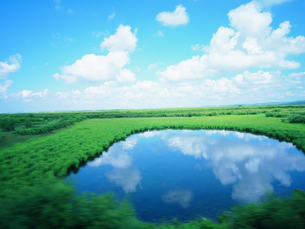 20100714112320216 (1).jpg