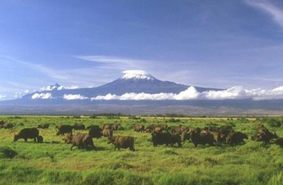 1 (862).jpg 1 (862).jpg